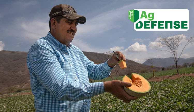 Por que os produtores escolhem Ag Defense